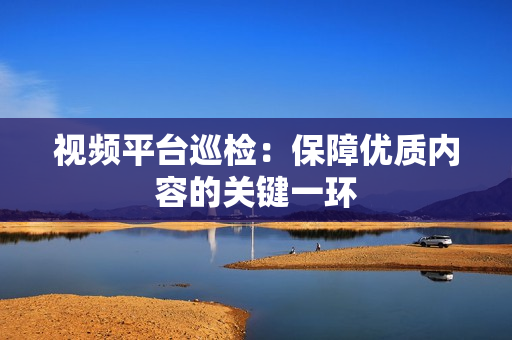 視頻平臺巡檢：保障優質內容的關鍵一環