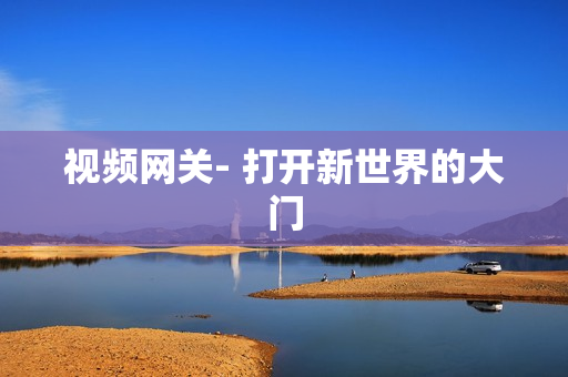 視頻網關- 打開新世界的大門