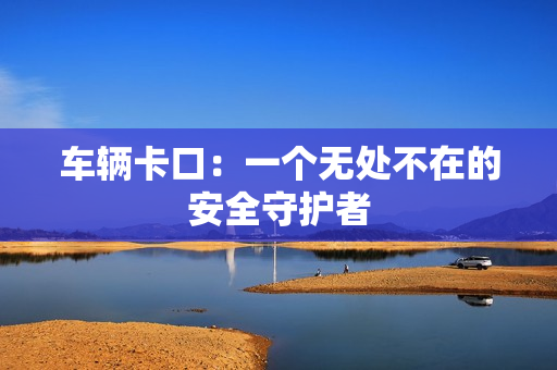 車輛卡口：一個無處不在的安全守護者