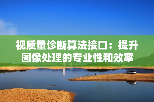 視質量診斷算法接口：提升圖像處理的專業性和效率