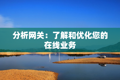 分析網關：了解和優化您的在線業務