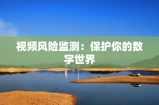 視頻風險監測：保護你的數字世界