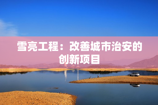 雪亮工程：改善城市治安的創新項目