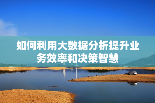 如何利用大數(shù)據(jù)分析提升業(yè)務效率和決策智慧