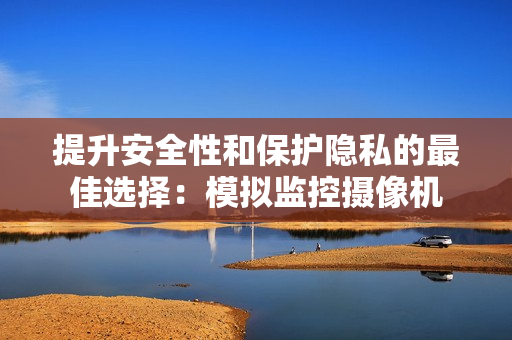 提升安全性和保護隱私的最佳選擇：模擬監控攝像機