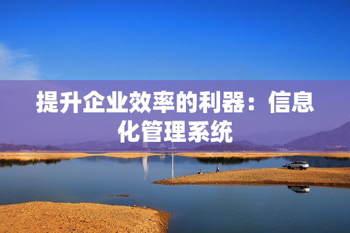 提升企業效率的利器：信息化管理系統