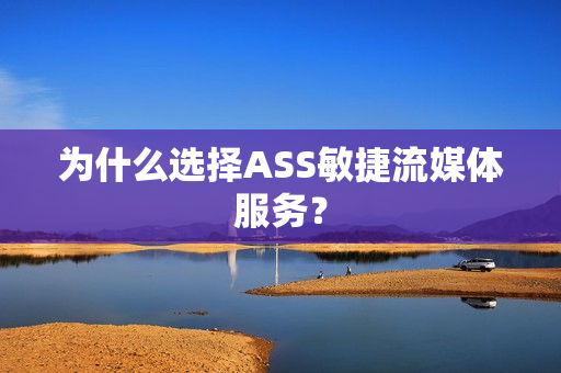 為什么選擇ASS敏捷流媒體服務？