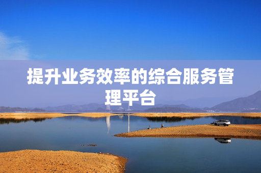 提升業務效率的綜合服務管理平臺