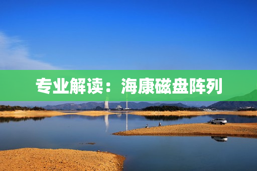 專業解讀：海康磁盤陣列