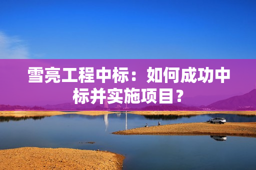 雪亮工程中標：如何成功中標并實施項目？