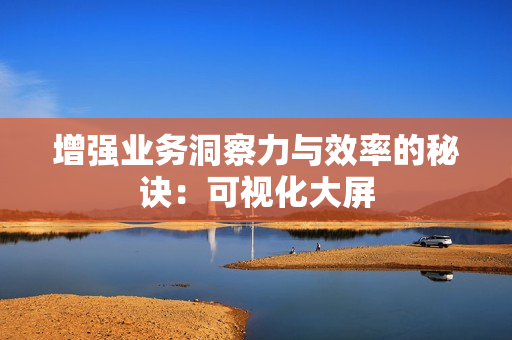 增強業(yè)務(wù)洞察力與效率的秘訣：可視化大屏
