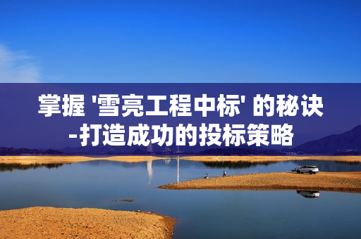 掌握 '雪亮工程中標' 的秘訣-打造成功的投標策略