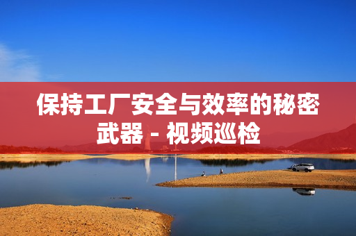 保持工廠安全與效率的秘密武器 - 視頻巡檢