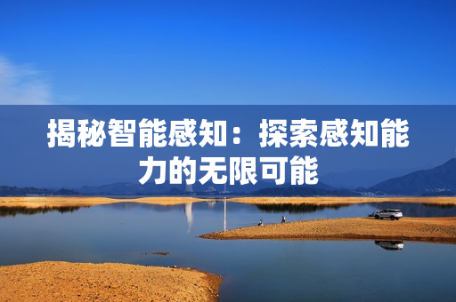 揭秘智能感知：探索感知能力的無(wú)限可能