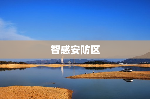 智感安防區(qū)