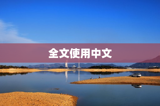 全文使用中文