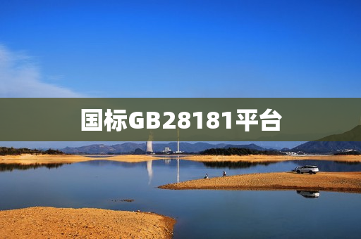 國(guó)標(biāo)GB28181平臺(tái)