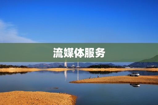 流媒體服務