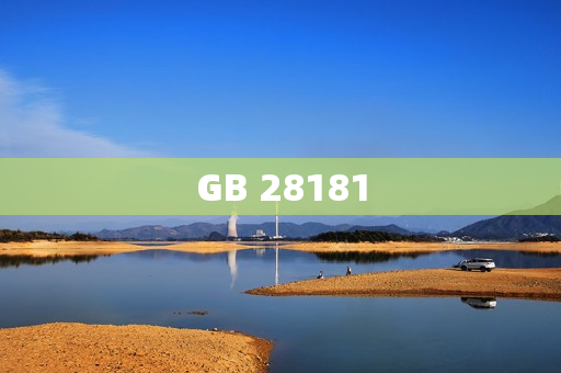 GB 28181
