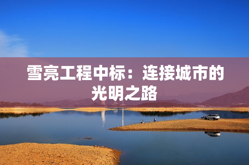 雪亮工程中標(biāo)：連接城市的光明之路