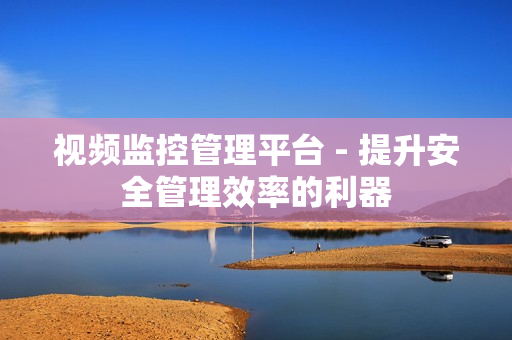 視頻監控管理平臺 - 提升安全管理效率的利器