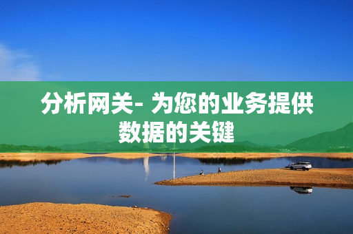 分析網關- 為您的業務提供數據的關鍵