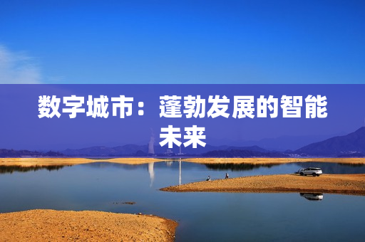 數字城市：蓬勃發展的智能未來